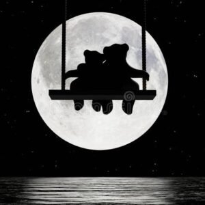 Cat and bear